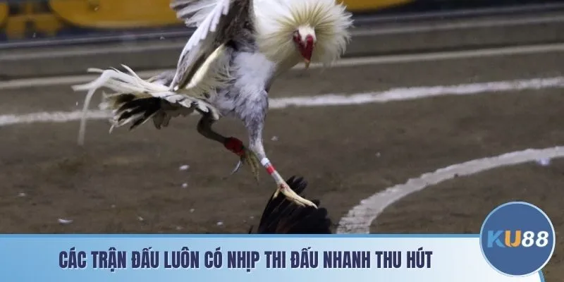 Các trận đấu luôn có nhịp thi đấu nhanh thu hút