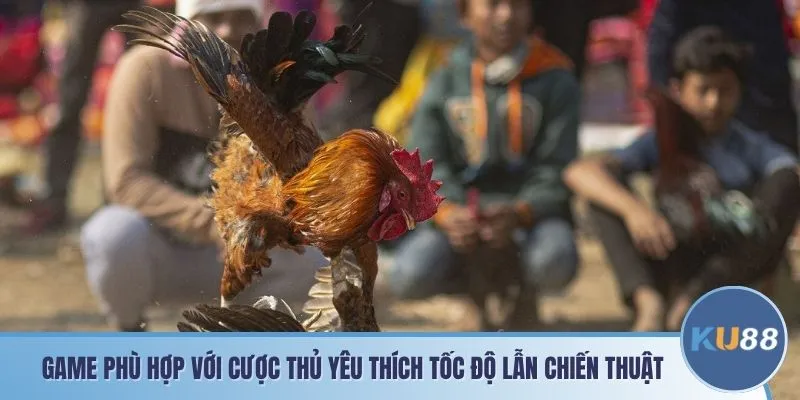 Game phù hợp với cược thủ yêu thích tốc độ lẫn chiến thuật