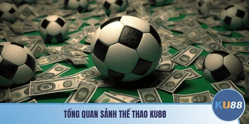 Tổng quan sảnh Thể thao KU88