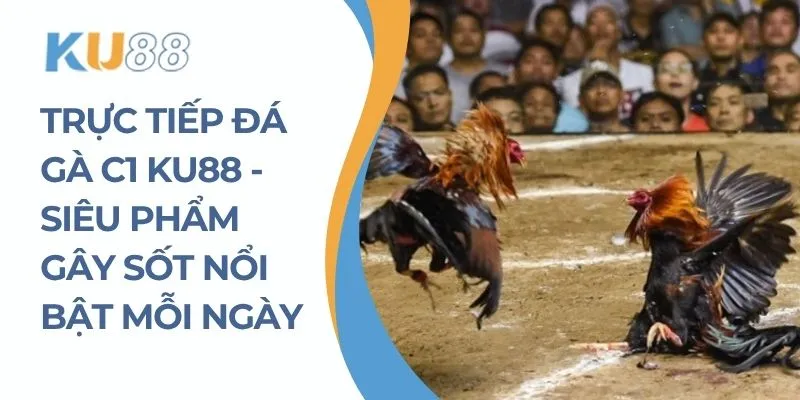 Trực Tiếp Đá Gà C1